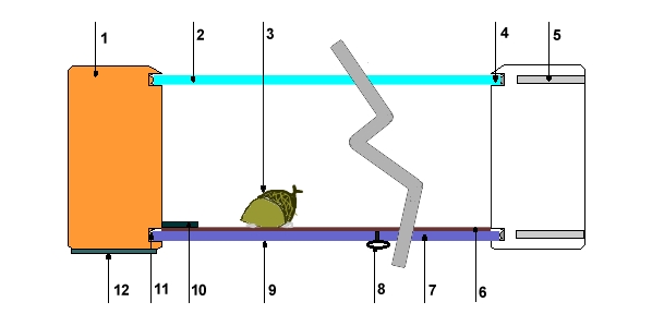 coupe schema arbo.jpg (36040 bytes)