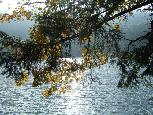 Lispach_annick_rudolf.jpg (249239 bytes)