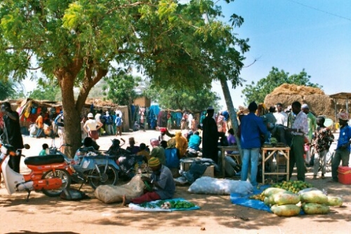 arbre  sonlud.jpg (182751 bytes)