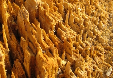 bellanger.jpg (119504 bytes)