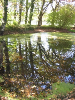 bouyssi.jpg (117950 bytes)