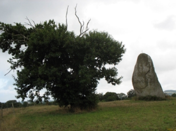 bruant.jpg (72187 bytes)