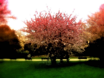 chaffanjon.jpg (81626 bytes)