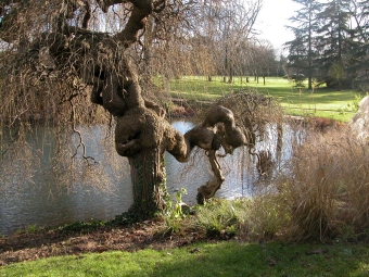 chriss.jpg (110698 bytes)