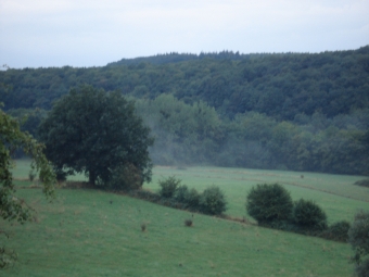 crefcoeur.jpg (62790 bytes)