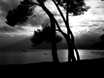 didierthomas.jpg (47535 bytes)