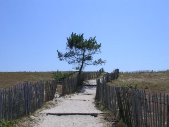 doudouchkaya.jpg (54221 bytes)