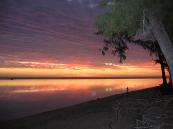 edithef.jpg (65464 bytes)