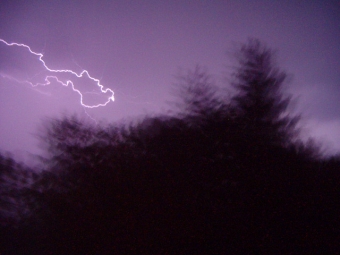 estorge.jpg (60259 bytes)