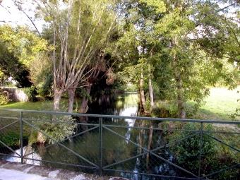 gadoux.jpg (117590 bytes)