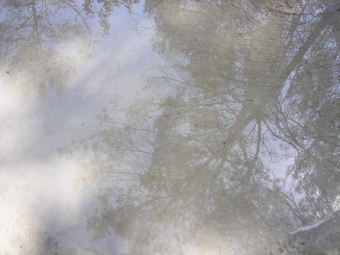 gamet.jpg (73954 bytes)