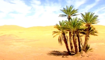 hanouche.jpg (57677 bytes)