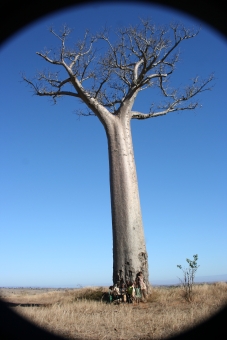 isagnes.jpg (56707 bytes)