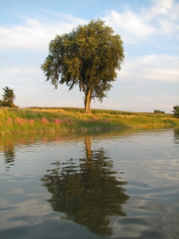 lacroix.jpg (69623 bytes)