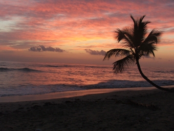 lemieux.jpg (70619 bytes)