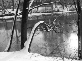 manin.jpg (73811 bytes)