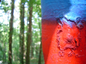 nidel.jpg (85497 bytes)