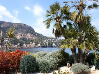 nschumenjak.jpg (110094 bytes)