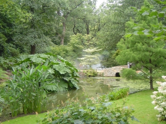 perennou.jpg (109540 bytes)