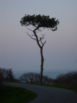 quintard.jpg (45808 bytes)