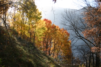 trumeau.jpg (100296 bytes)