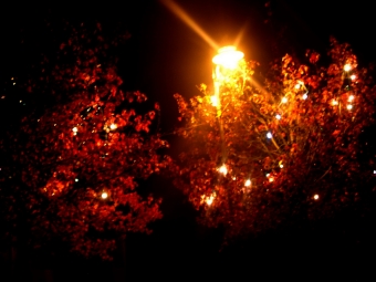 beaurain.jpg (70127 bytes)