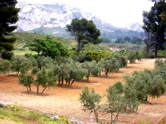 bkloc.jpg (104242 bytes)