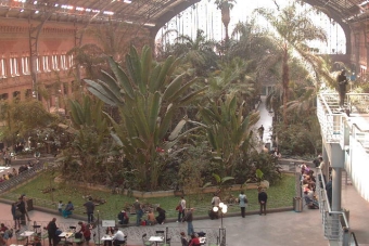 choquel2.jpg (87101 bytes)