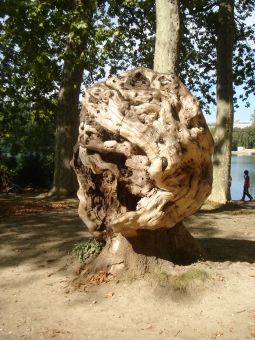 denis.jpg (106565 bytes)