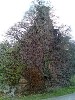 deswaziere.jpg (98818 bytes)