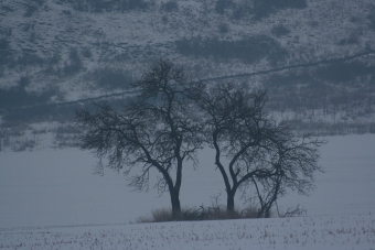 fajoux.jpg (60846 bytes)