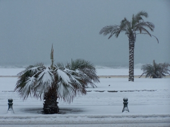 fourcade.jpg (65100 bytes)