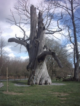 helene44.jpg (84167 bytes)