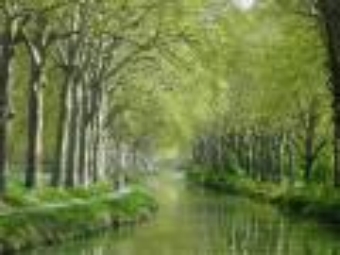 isaregala.jpg (48711 bytes)