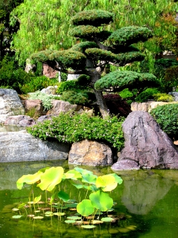 kleinpeter.jpg (123143 bytes)