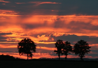 kulig.jpg (63334 bytes)