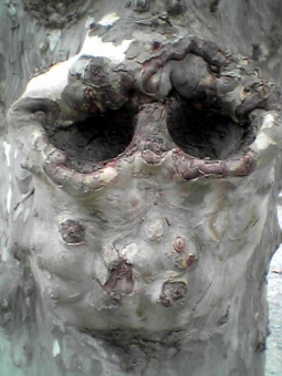 lahous.jpg (76361 bytes)