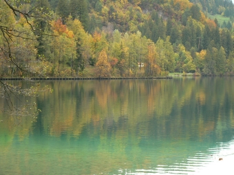 larcher.jpg (85561 bytes)