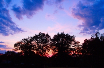 lecam.jpg (70204 bytes)