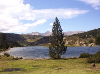 lefebvre.jpg (74436 bytes)