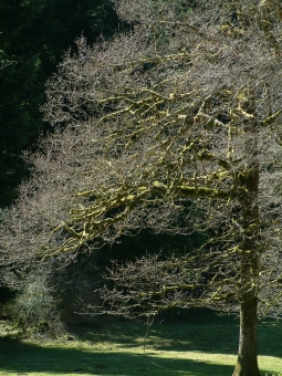 malet.jpg (112223 bytes)