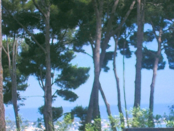 matkloc.jpg (89918 bytes)