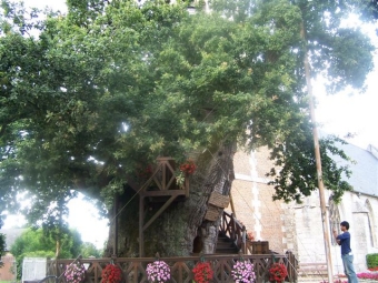 morgenthaler.jpg (100550 bytes)