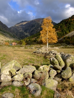 mpj.jpg (99828 bytes)