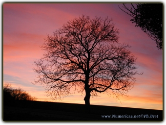 numericaa.jpg (78496 bytes)