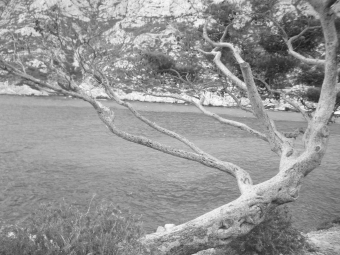 ouvrard.jpg (75483 bytes)