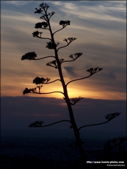 palacio.jpg (60286 bytes)