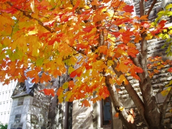 pascal.jpg (118364 bytes)