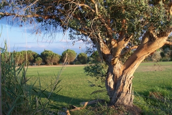 prudhomme.jpg (107007 bytes)