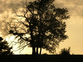 tutar.jpg (96032 bytes)